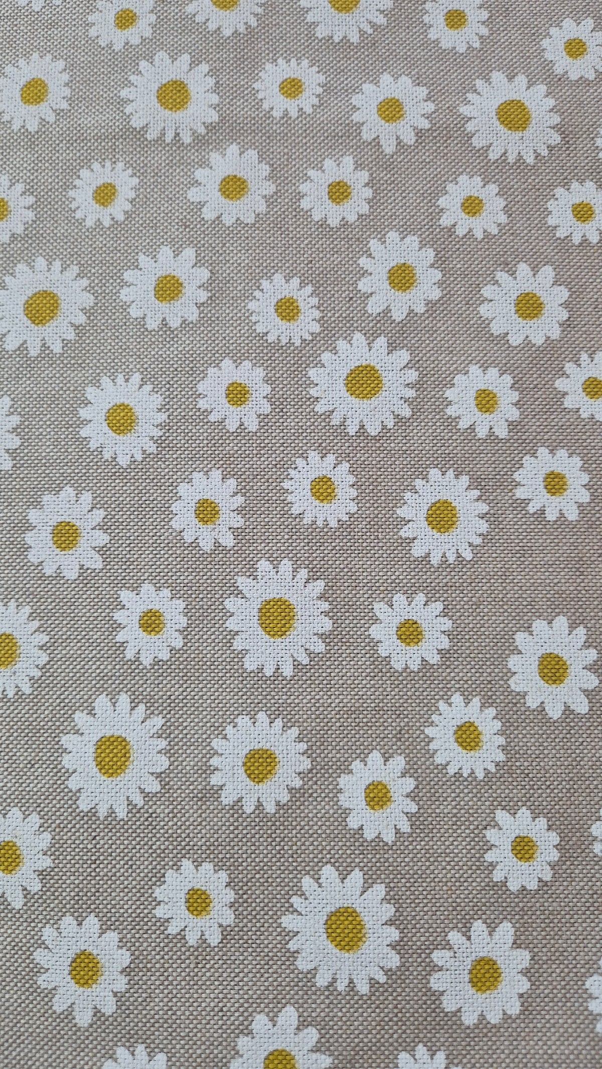 Stoffmuster „Daisy“: weiße Gänseblümchen